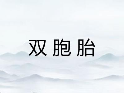 双胞胎