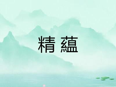 精藴 精藴