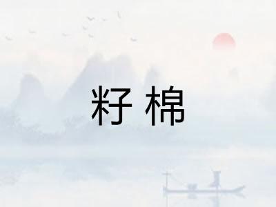 籽棉