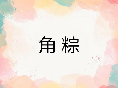 角粽 角粽