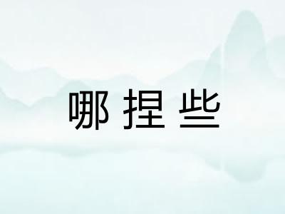 哪捏些