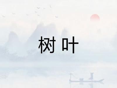 树叶 树叶