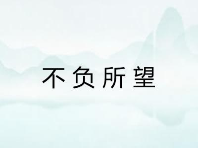不负所望