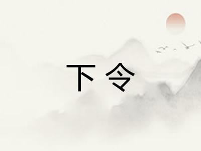 下令