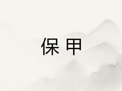 保甲 保甲