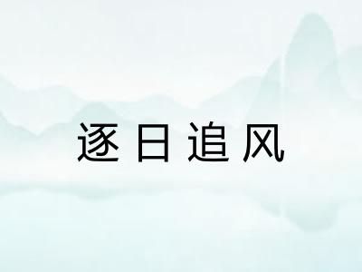 逐日追风