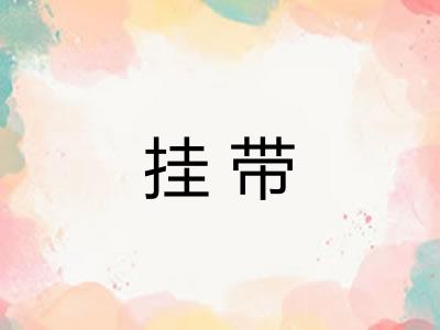 挂带 挂带