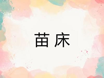 苗床