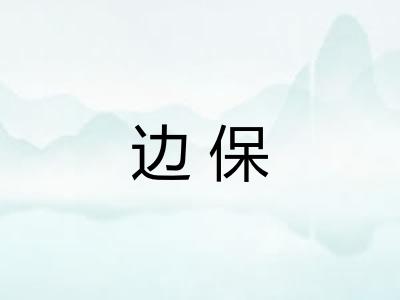 边保 边保