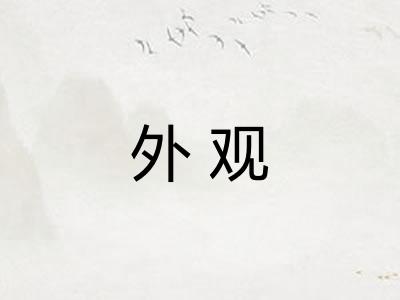 外观 外观