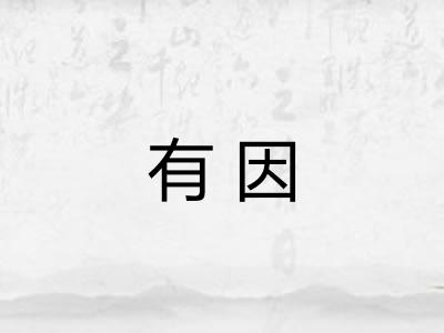 有因 有因