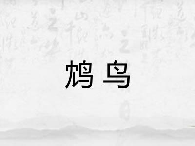 鸩鸟