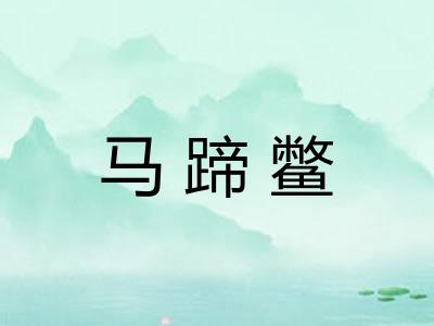 马蹄鳖