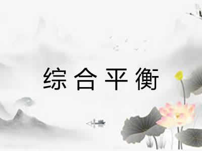 综合平衡 综合平衡