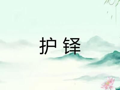 护铎