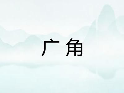 广角