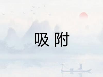 吸附 吸附