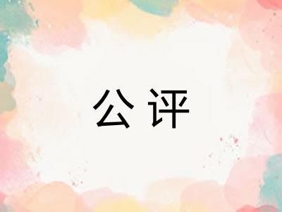 公评 公评