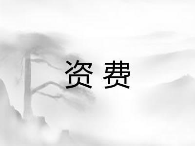 资费