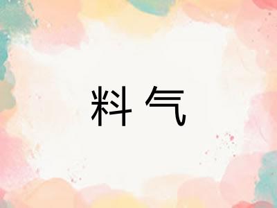 料气