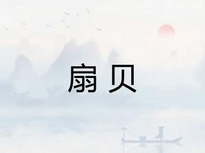 扇贝 扇贝