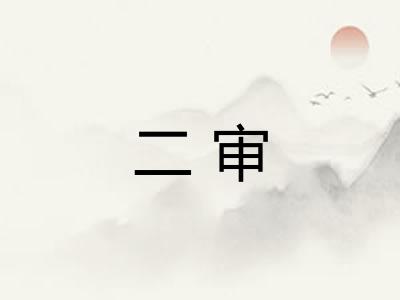二审