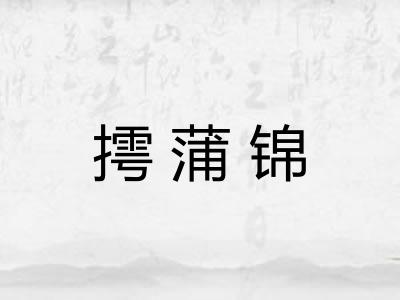 摴蒲锦