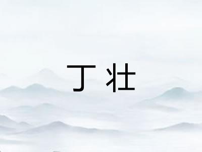丁壮 丁壮