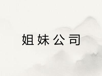 姐妹公司 姐妹公司