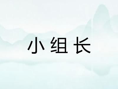 小组长 小组长