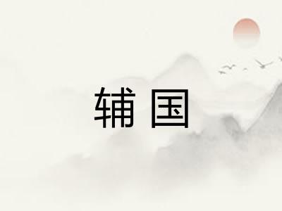 辅国