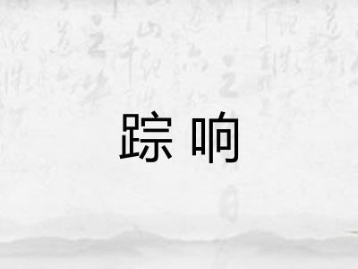踪响
