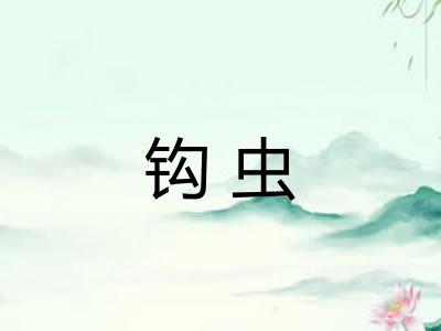 钩虫