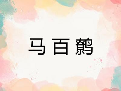 马百鹩