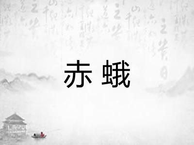 赤蛾