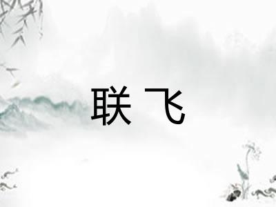 联飞 联飞