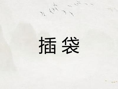 插袋