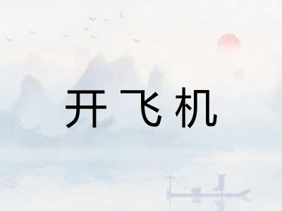 开飞机