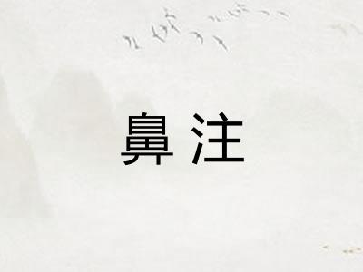 鼻注