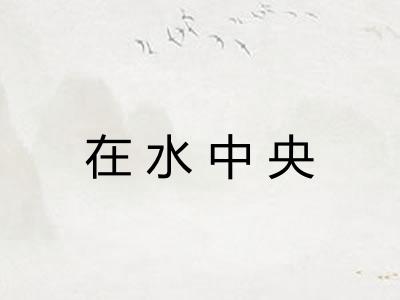 在水中央