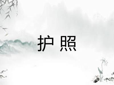 护照