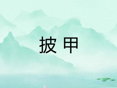 披甲 披甲