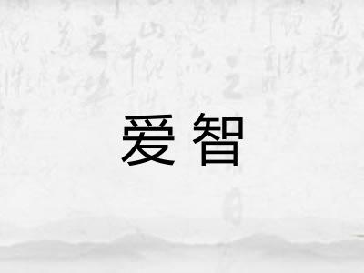 爱智
