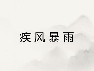 疾风暴雨 疾风暴雨