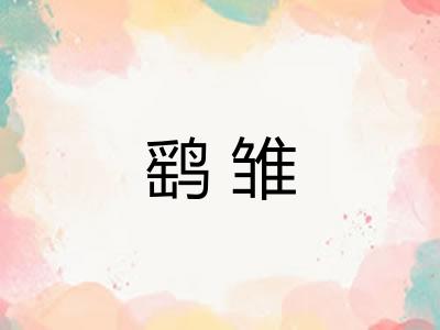 鹞雏