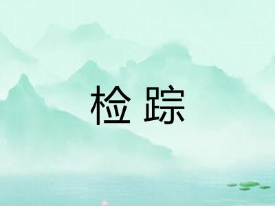 检踪