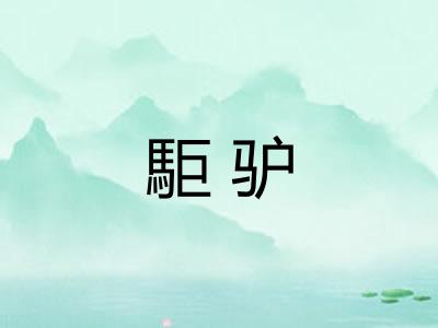 駏驴