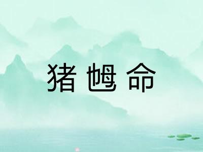 猪乸命 猪乸命