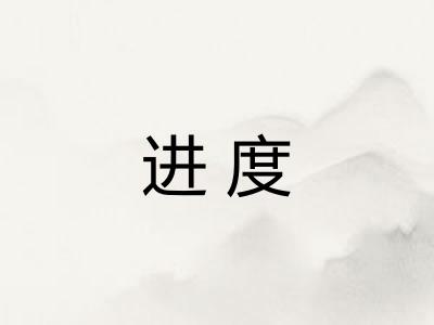 进度