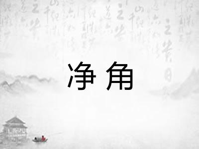 净角 净角